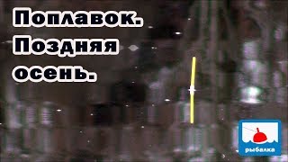Ссылка