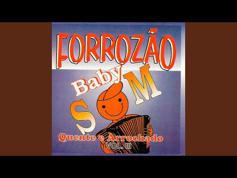 Deixe Todo Esse Amor Pra Depois - Forrozão Baby…