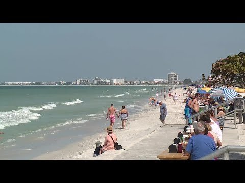 Florida beach businesses are thriving, despite red tide levels