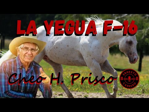 Cheo Hernández - La Yegua F16 Prisco #colombia #venezuela #musica