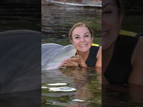 Aniversário da Cristina Mel (2025)❣️ #cristinamel