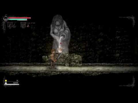 Salt and Sanctuary: Salt Duplication/Infinite Levels Glitch