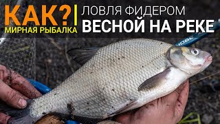 Все о фидере и фидерной ловле на реке
