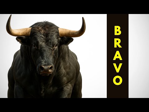 El Toro Bravo ( El Espartano del Siglo XXI )