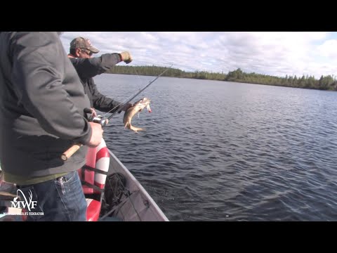 Lake Trout Location Basics