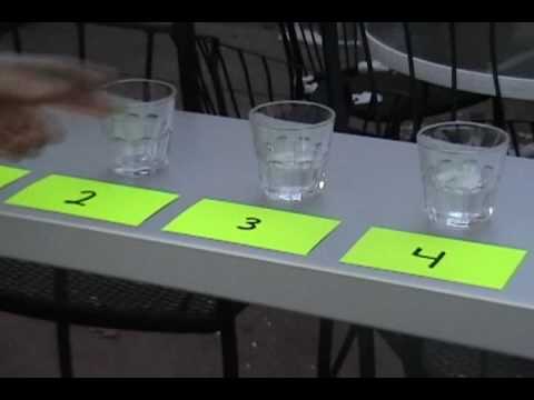 World Vodka Challenge