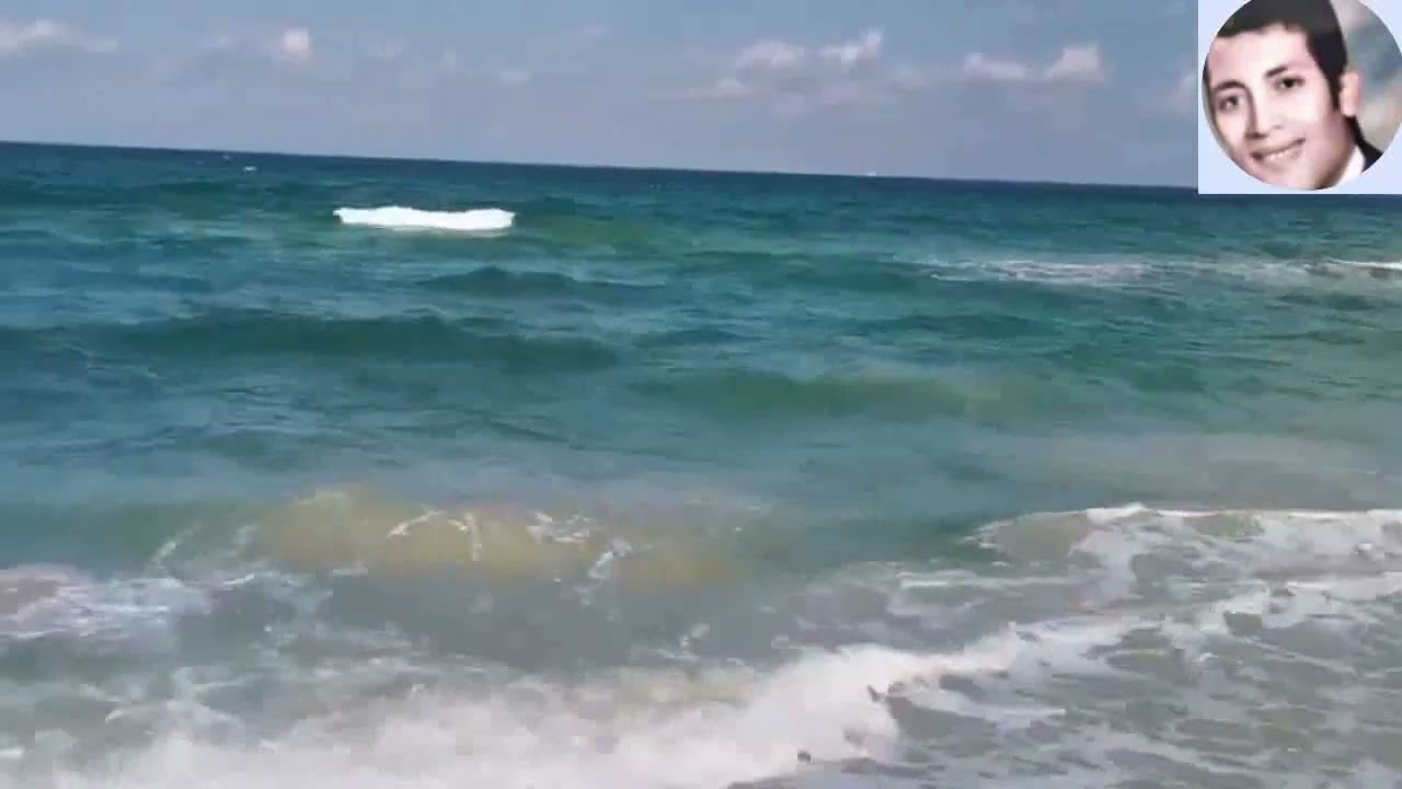 الشاعر الإعلامي أسامة سمير يروى حكاية عاشق الإسكندرية الفنان القدير إبراهيم عبدالشفيع