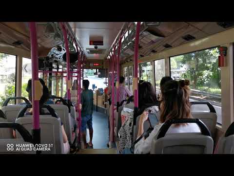 SBS Transit Scania K230UB Euro V Gemilang SBS8681H On Service 103