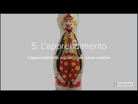 5. Observational learning