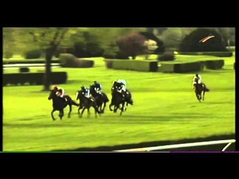 23.03.2014 Krefeld 8.Rennen Preis der BS Seiffert GmbH -  Jagdrennen 3.500 m