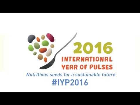 What are pulses and why are they important crops for food security