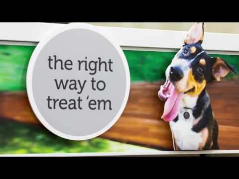 Treat Aisle Reset with PetCo - The Vomela Companies