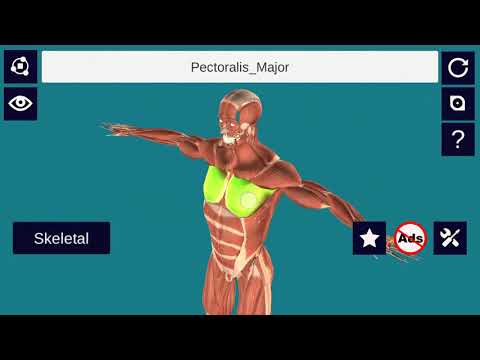 3D Anatomy+ (Full Version) Video