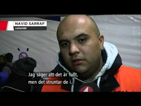 Allt fler EU-länder larmar: Flyktingströmmen ohanterlig - Nyheterna (TV4)