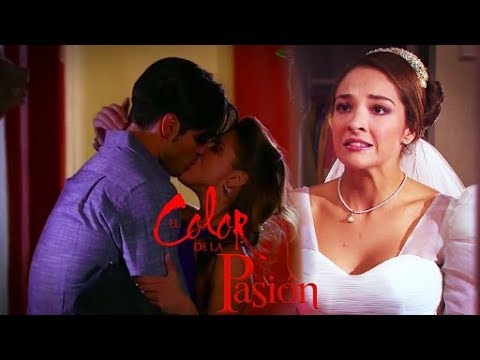 download lagu mp3 mp4 El Color De La Pasion Capitulo 1 Completo, download lagu El Color De La Pasion Capitulo 1 Completo gratis, unduh video klip El Color De La Pasion Capitulo 1 Completo