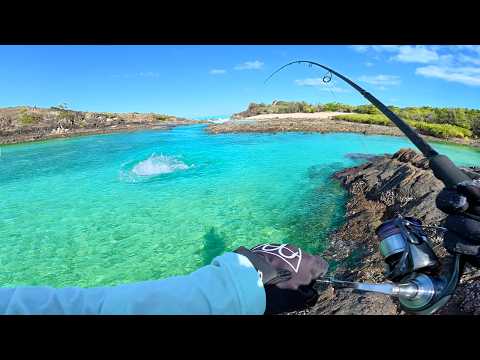 Finally a CATCH AND COOK!