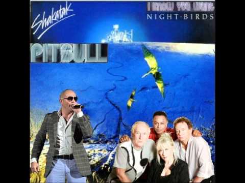 Nobletec MashMix 2o12 - Pitbull Vs Shakatak - I Know You Want Night Birds
