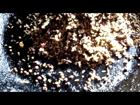 download lagu mp3 mp4 Guyanese Masala Recipe, download lagu Guyanese Masala Recipe gratis, unduh video klip Guyanese Masala Recipe