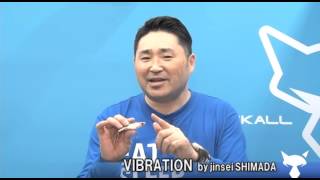 Vibration by jinsei SHIMADA (Fishing Show OSAKA)