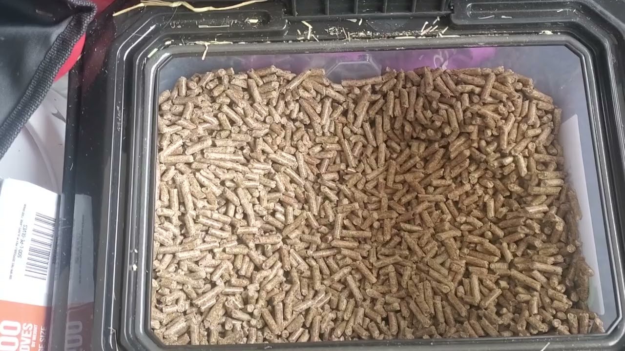 HONEST Review of Wood Animal Bedding Pellets