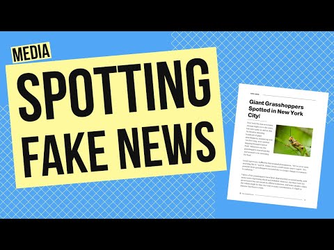 How to Spot Fake News: Media Activity