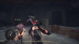 やり残した事をやって行く！ドラゴンズドグマ２(実況)PS5配信＃１８