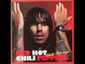 Red Hot Chili Peppers - Can't Stop (Mafia ...