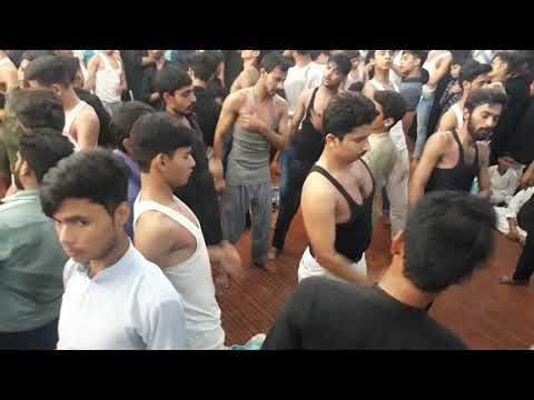 Anjuman e Akbari Amroha Noha wo Matam 19 Safar 1441(H)2019 Moh Haqqani Ailia Society amroha