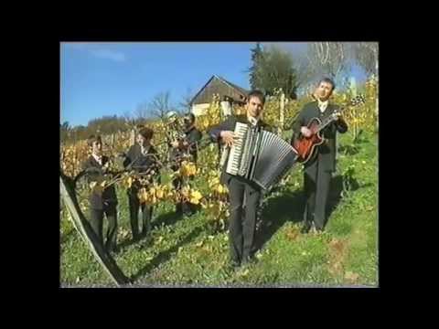 Kvintet Dori - Zato sem muzikant