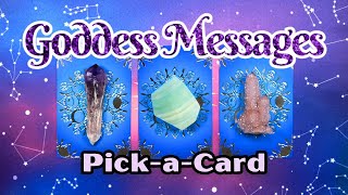 GODDESS MESSAGES 🔮 Divine Guidance Pick a Card Tarot Reading 🌙✨