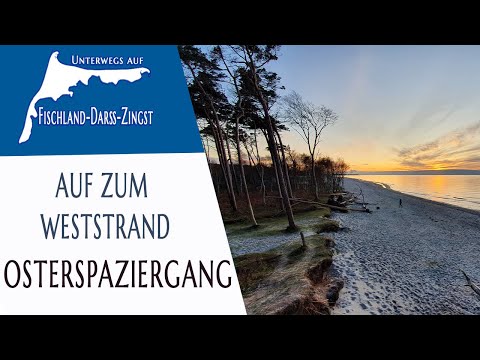 Spaziergang zum Weststrand auf Fischland-Darß-Zingst |  Impressionen