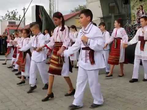 CUNUNITA SATULUI - LIESTI - SARBATOAREA SALCAMULUI 2017