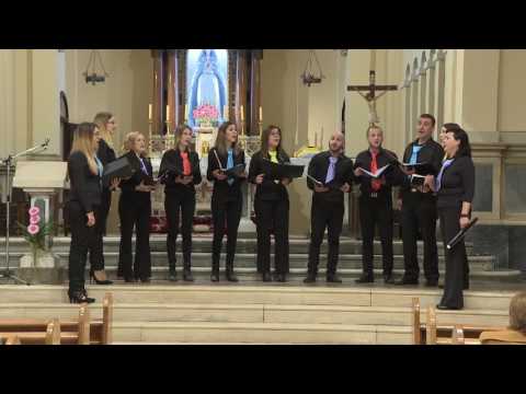 MVS Nešpula - Rusulica