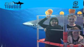 DIA 3 Expo Tiburon11