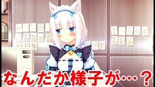 バニラちゃんまで様子がおかしいネコぱらpart20