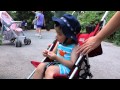 Fatherhood Visiting Bronx Zoo