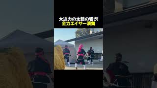 大迫力の太鼓の響き！全力エイサー演舞！琉球國祭り太鼓 茨城支部