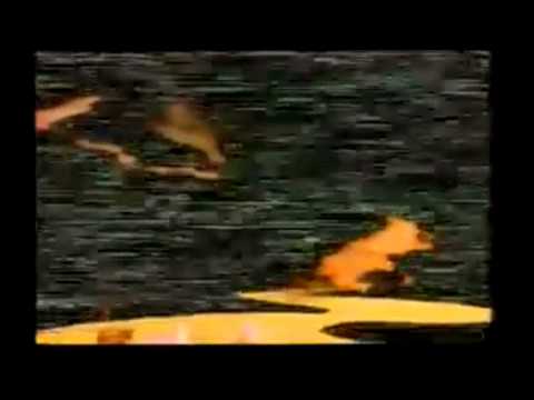 DJ Milo (Doomsday) Rave_Video_Tape 01/14 (Video_Mix)