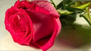 los temerarios  olvidar asi