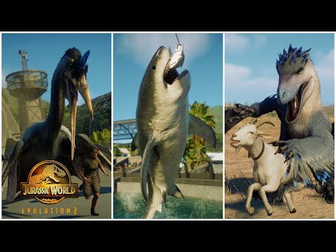 SOME OF THE BEST ANIMATIONS ! FIGHTS, HUNTS, KILLS, INTERACTIONS IN JURASSIC WORLD EVOLUTION 2
