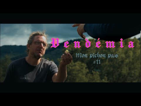 “Mon pichon país” #11 Jòrdi Tayac, vendémia