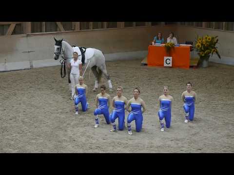 Laufen 2013 - Pflicht Bätterkinden1 - Kat L - Volti Turnier