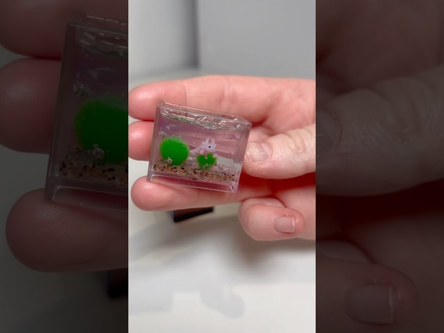 Vídeo relacionado con 30 Uds Animales de Resina Set, 15 Estilos Figuras de Resina Mini Decoración para Jardín en Miniatura, Figuras de Animales para Manualidades DIY Casa de Muñecas