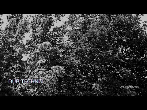 Dub Techno Session | 079