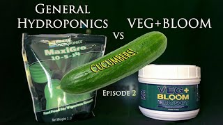 VEG+BLOOM vs Maxigrow w/Cucumbers EP2 | Mars Hydro SP3000