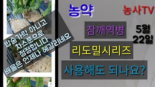 참깨 재배 역병 농약-리도밀시리즈 사용여부, 사용시기, 사용방법 [농사TV]