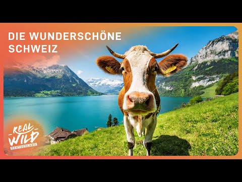 Switzerland: Europe's most beautiful country? | Nature documentary