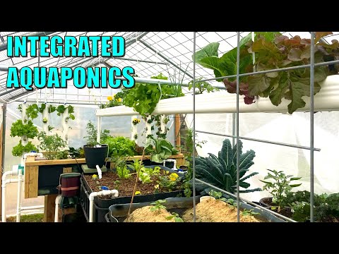 AWESOME Aquaponics System with DWC, NFT, DRZ, Sand Beds + MORE - Kerrville Texas USA