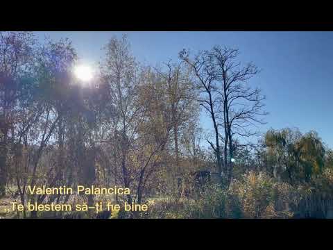 Valentin Palancica,,Te blestem să-ți fie bine”(cover)