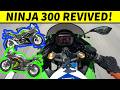 Kawasaki COMEBACK The 2026 Ninja 300 Is Back For America But Why